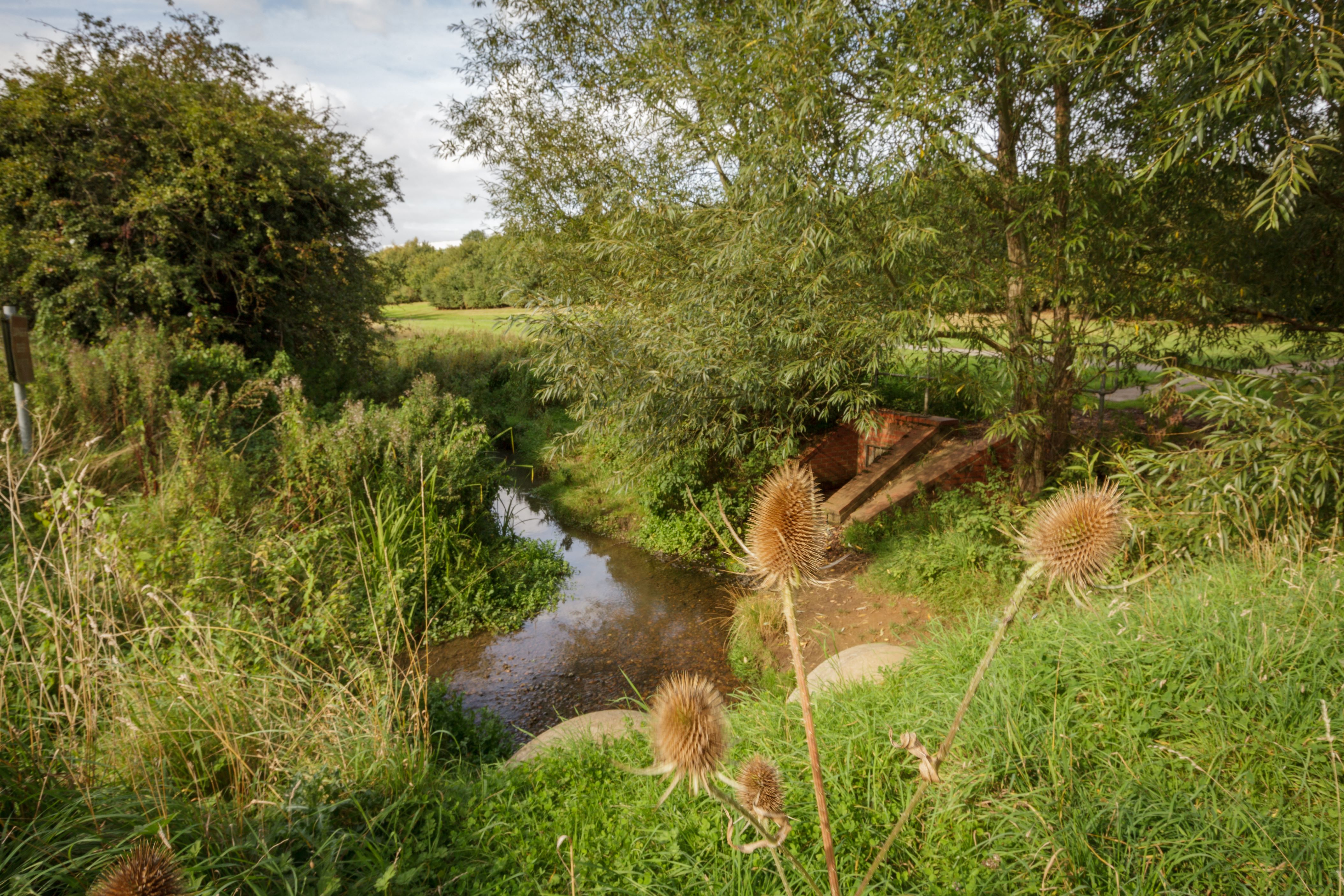 Biodiversity at Linear Park in Prologis Park Kettering