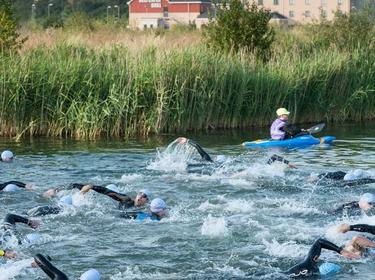 People swimming in a river in a race