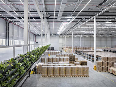 Natural light flooding interior of distribution center in Tilburg, Netherlands