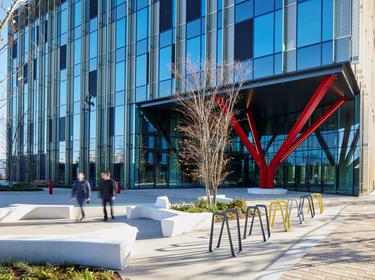 Cambridge biomedical campus architectural tree