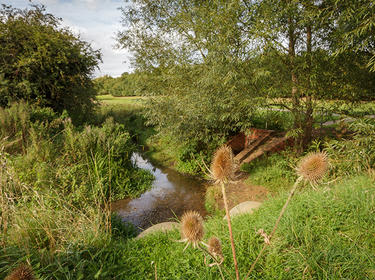 Linear Park at Prologis Park Kettering