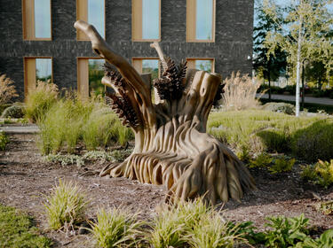 Public Art at Cambridge Biomedical Campus