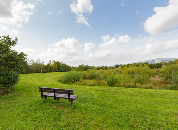 Linear Park Kettering